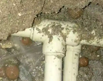 宁洱测漏水多少钱