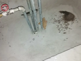 宁洱卫生间测漏水价格明细