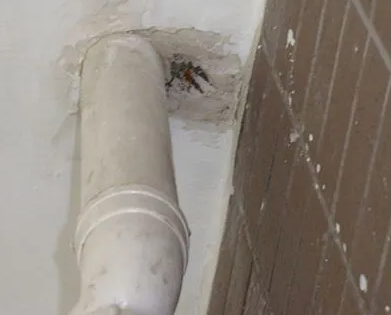 宁洱漏水检测哪家好